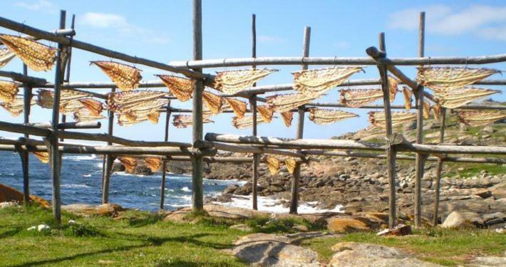 Casa Macareno Διαμέρισμα Os Muinos Εξωτερικό φωτογραφία